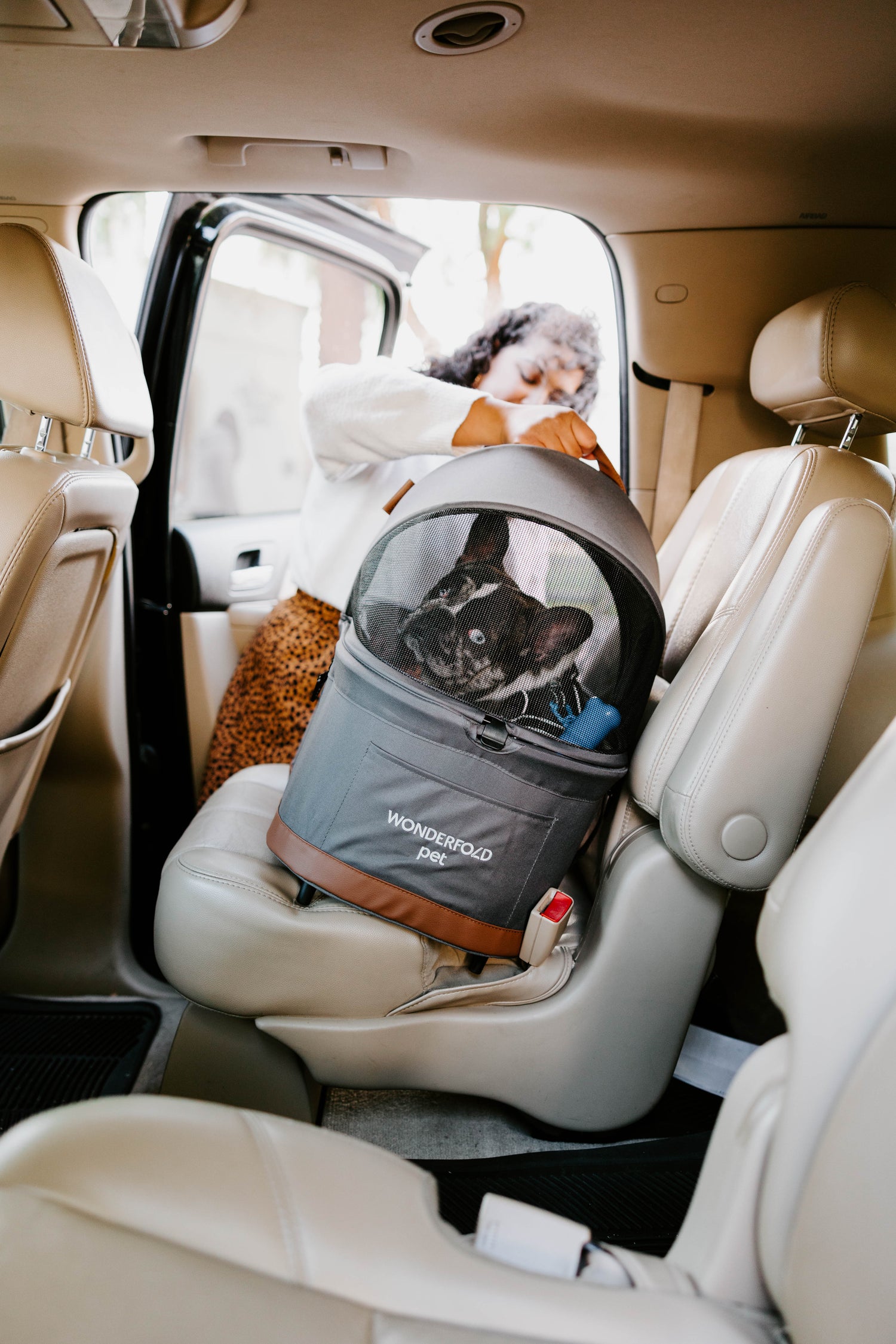 Car Seat and Stroller for Dogs, Cats and Pets