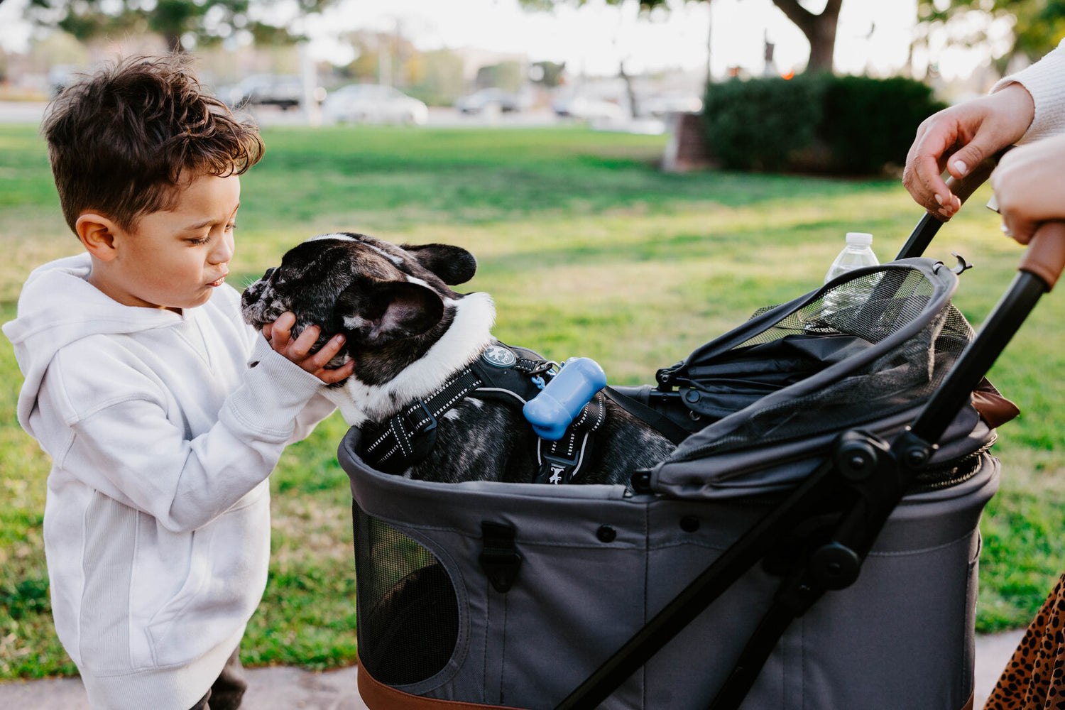 Make your best friend comfortable in the Pet Stroller