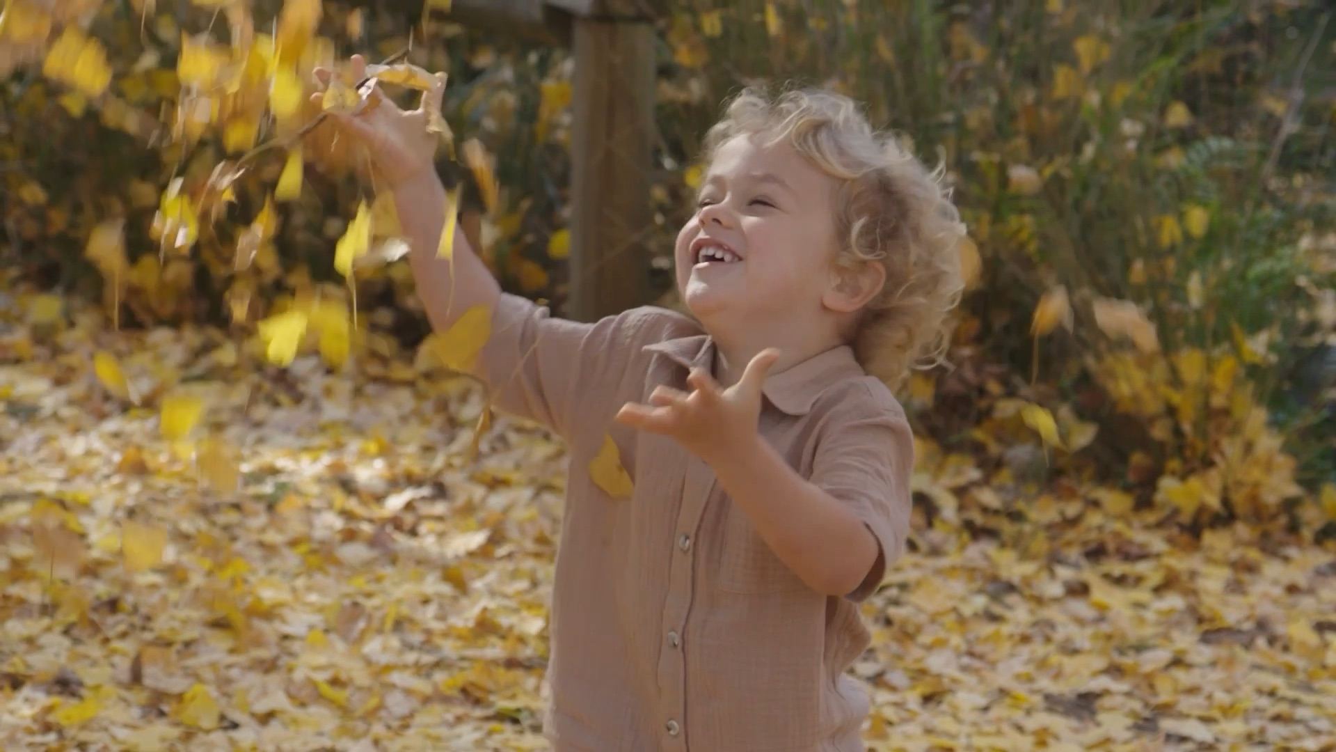 A toddler throws autumn leaves in the air